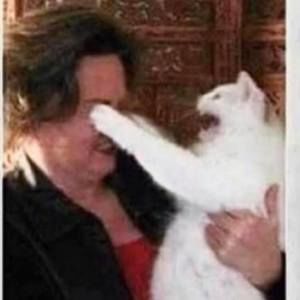 Meet your Posher, Jared